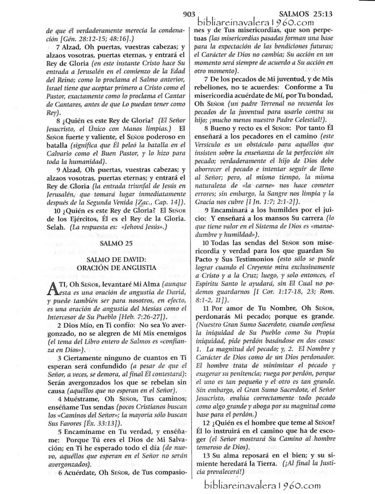 La Promesa Capitulo 105 Completo En Español
